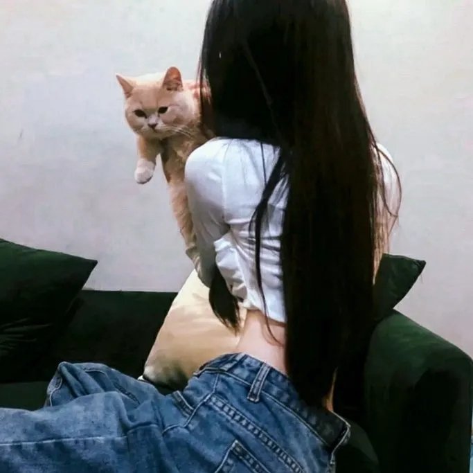 七擒七纵七色狼粤语